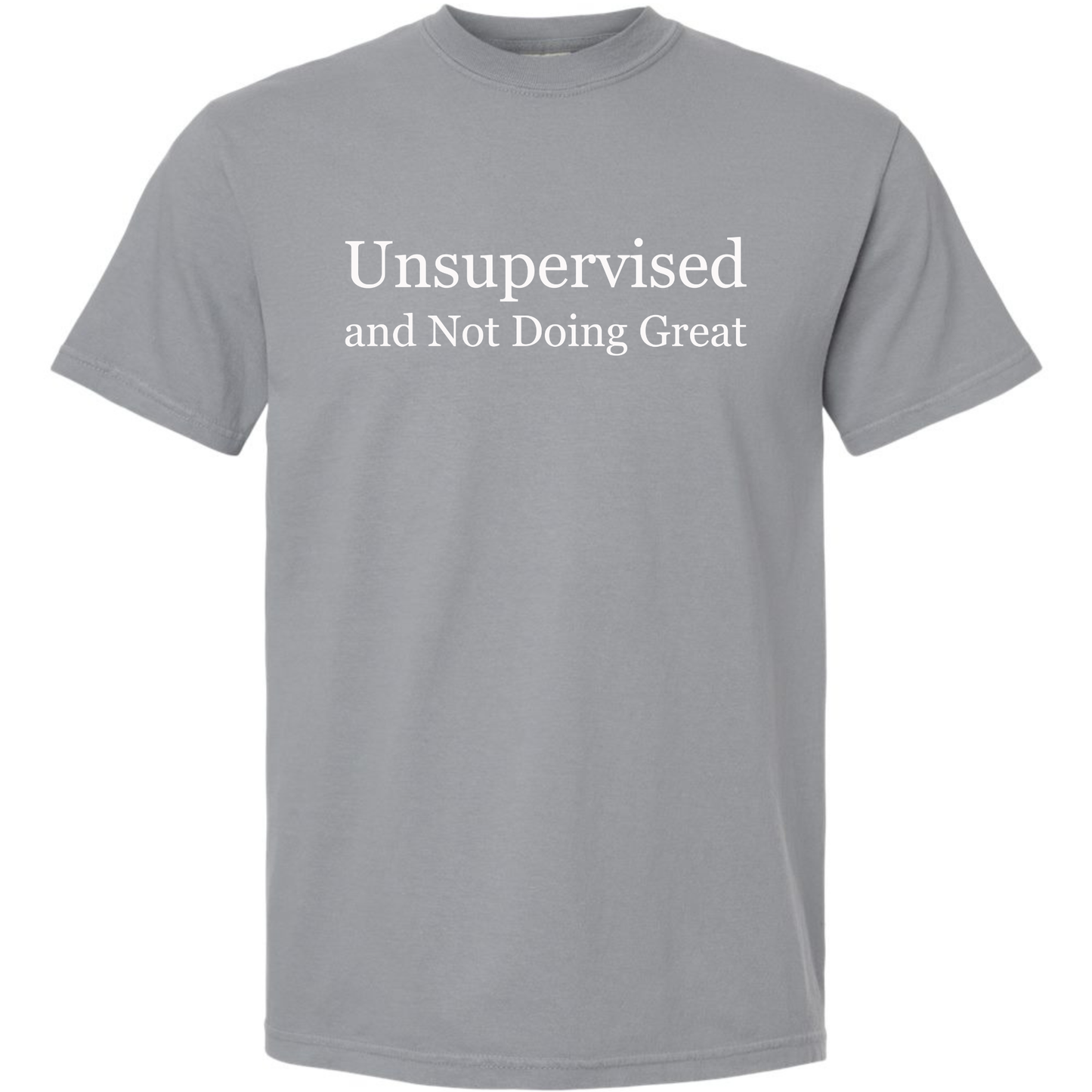 Unsupervised and Not Doing Great Shirt Comfort Colors Granite Tee – Funny Sarcastic Graphic Tee Twice the Charm Boutique