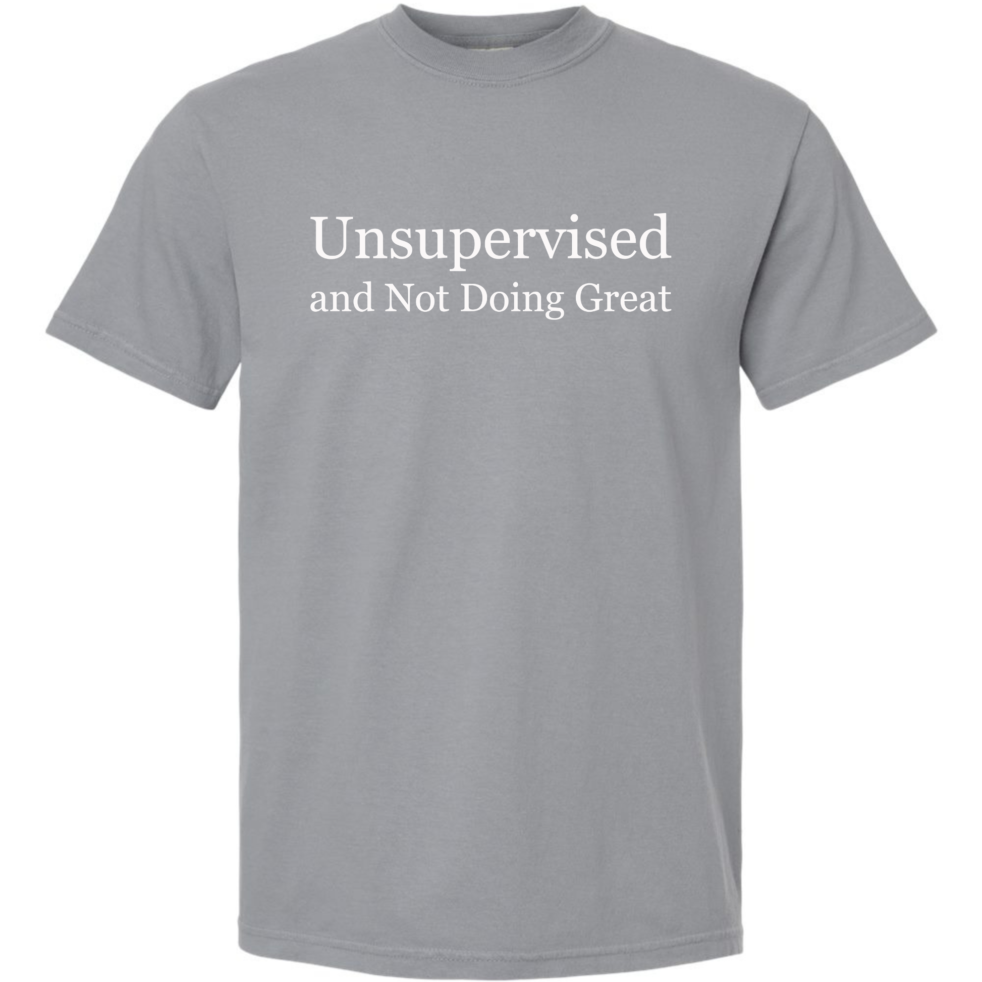 Unsupervised and Not Doing Great Shirt Comfort Colors Granite Tee – Funny Sarcastic Graphic Tee Twice the Charm Boutique