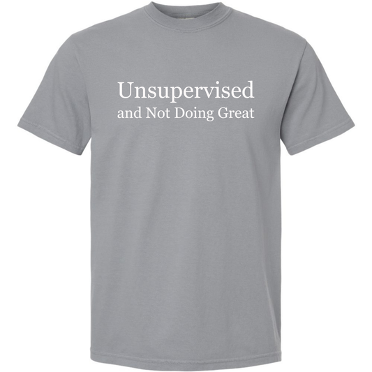 Unsupervised and Not Doing Great Shirt Comfort Colors Granite Tee – Funny Sarcastic Graphic Tee Twice the Charm Boutique